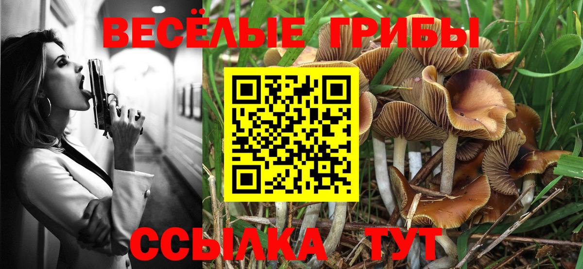 Псилоцибиновые грибы мицелий Гагарин