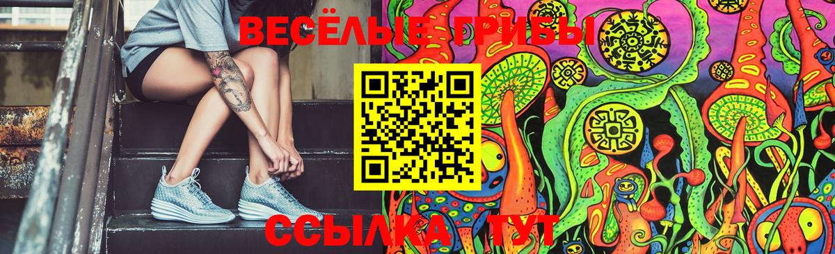 Галлюциногенные грибы MAGIC MUSHROOMS  Вход с VPN  Гагарин 