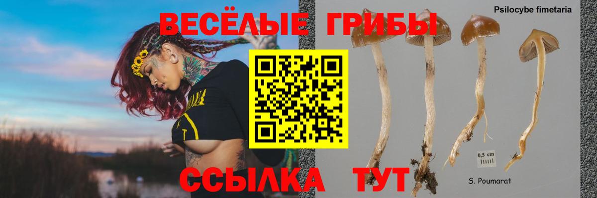 Мефедрон Гагарин